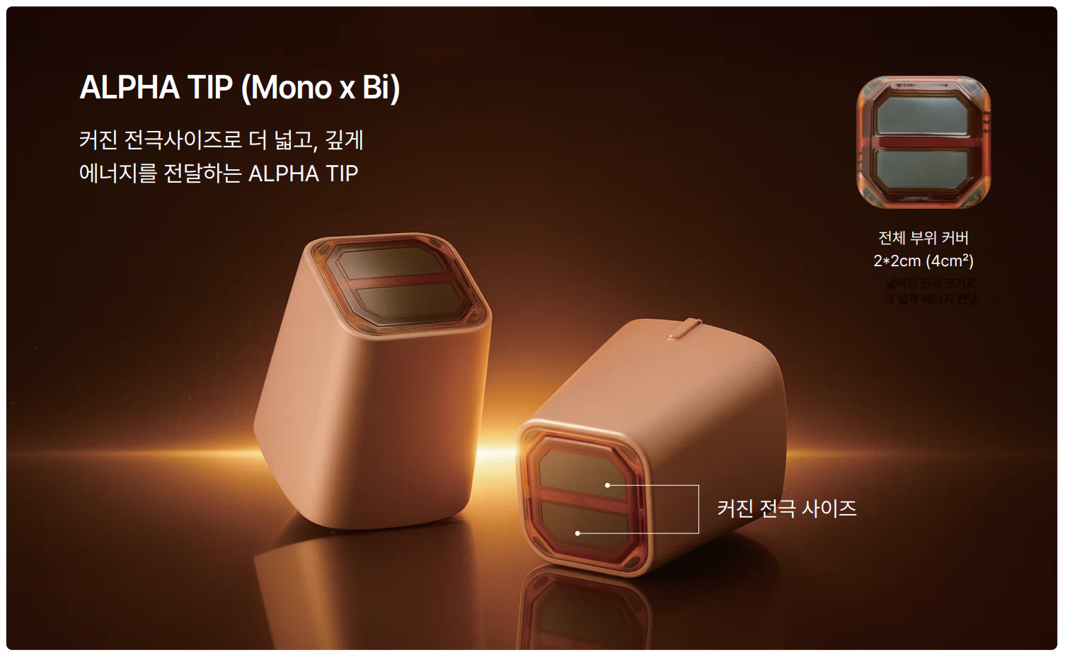 덴서티 알파팁 컨셉컷